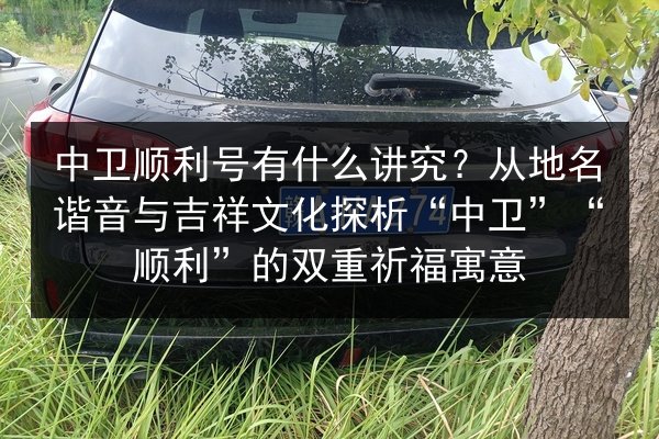 中卫顺利号有什么讲究？从地名谐音与吉祥文化探析“中卫”“顺利”的双重祈福寓意 第3张