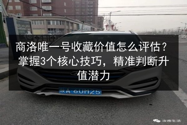 商洛唯一号收藏价值怎么评估？掌握3个核心技巧，精准判断升值潜力