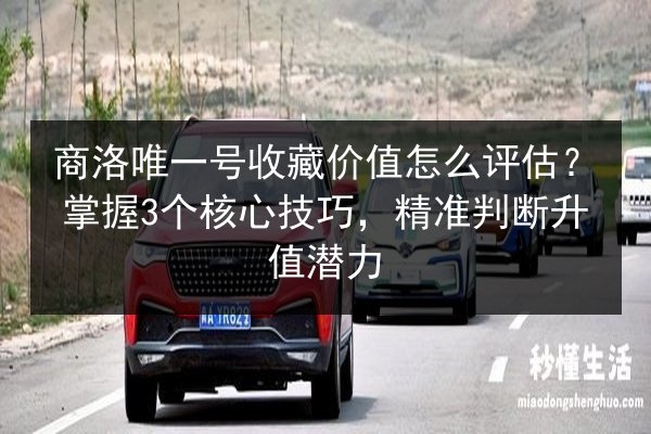 商洛唯一号收藏价值怎么评估?掌握3个核心技巧,精准判断升值潜力 第2张 商洛唯一号收藏价值怎么评估?掌握3个核心技巧,精准判断升值潜力 第2张