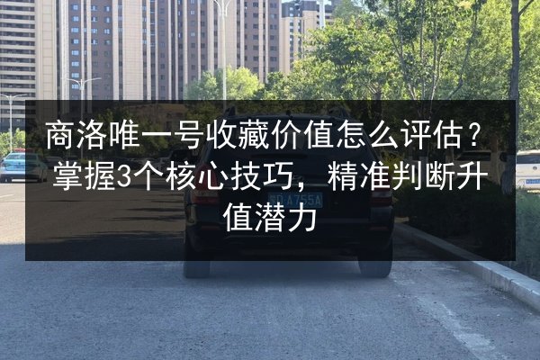 商洛唯一号收藏价值怎么评估?掌握3个核心技巧,精准判断升值潜力 第3张 商洛唯一号收藏价值怎么评估?掌握3个核心技巧,精准判断升值潜力 第3张