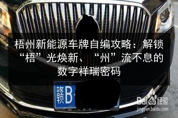 梧州新能源车牌自编攻略:解锁“梧”光焕新、“州”流不息的数字祥瑞密码 第3张 梧州新能源车牌自编攻略:解锁“梧”光焕新、“州”流不息的数字祥瑞密码 第3张