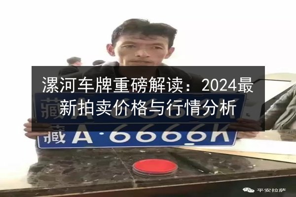 漯河车牌重磅解读：2024最新拍卖价格与行情分析