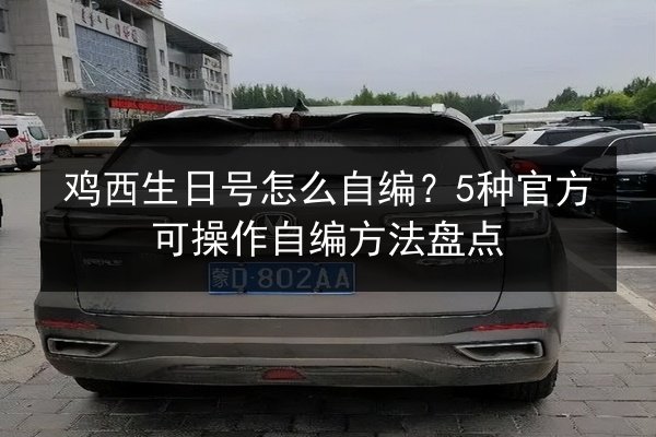 鸡西生日号怎么自编？5种官方可操作自编方法盘点