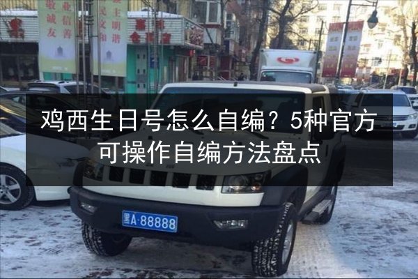 鸡西生日号怎么自编？5种官方可操作自编方法盘点 第3张