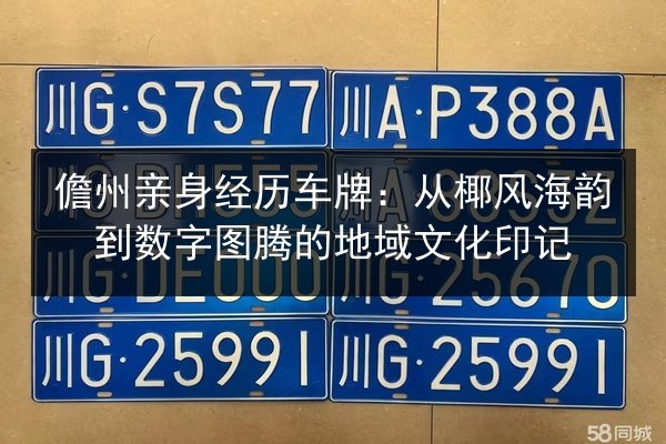 儋州亲身经历车牌：从椰风海韵到数字图腾的地域文化印记