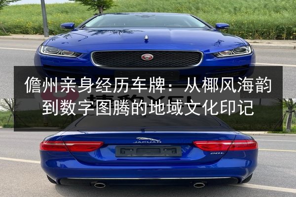 儋州亲身经历车牌：从椰风海韵到数字图腾的地域文化印记 第2张