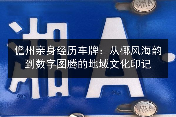 儋州亲身经历车牌：从椰风海韵到数字图腾的地域文化印记 第3张