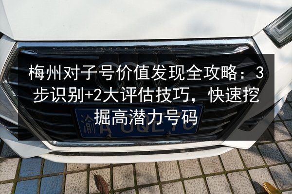 梅州对子号价值发现全攻略：3步识别+2大评估技巧，快速挖掘高潜力号码 第2张
