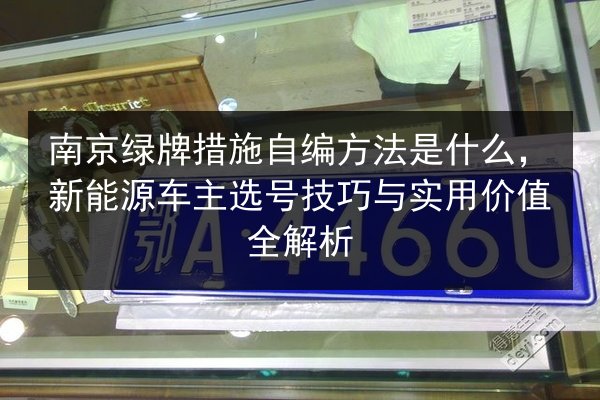 南京绿牌措施自编方法是什么，新能源车主选号技巧与实用价值全解析 第3张