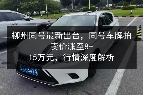 柳州同号最新出台，同号车牌拍卖价涨至8-15万元，行情深度解析 第2张