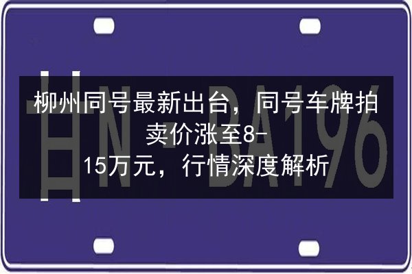 柳州同号最新出台，同号车牌拍卖价涨至8-15万元，行情深度解析 第3张