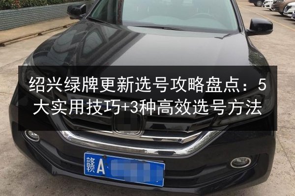 绍兴绿牌更新选号攻略盘点：5大实用技巧+3种高效选号方法 第2张