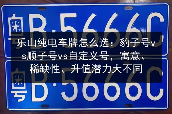 乐山纯电车牌怎么选：豹子号vs顺子号vs自定义号，寓意、稀缺性、升值潜力大不同