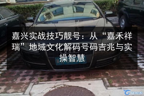 嘉兴实战技巧靓号:从“嘉禾祥瑞”地域文化解码号码吉兆与实操智慧 第3张 嘉兴实战技巧靓号:从“嘉禾祥瑞”地域文化解码号码吉兆与实操智慧 第3张
