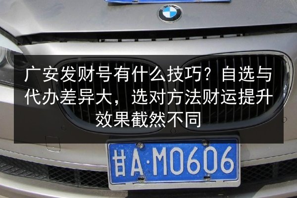 广安发财号有什么技巧？自选与代办差异大，选对方法财运提升效果截然不同 第2张