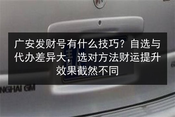 广安发财号有什么技巧？自选与代办差异大，选对方法财运提升效果截然不同 第3张