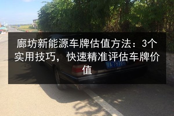 廊坊新能源车牌估值方法：3个实用技巧，快速精准评估车牌价值