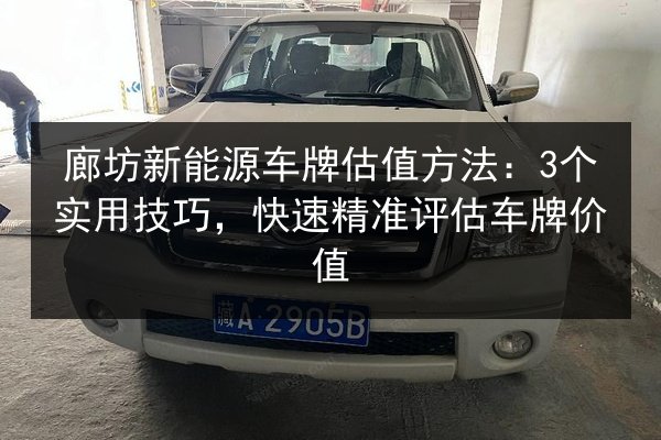 廊坊新能源车牌估值方法：3个实用技巧，快速精准评估车牌价值 第2张
