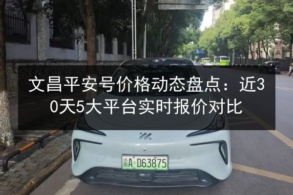 文昌平安号价格动态盘点：近30天5大平台实时报价对比