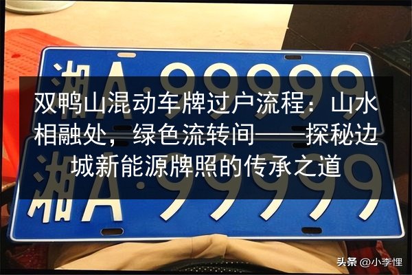 双鸭山混动车牌过户流程：山水相融处，绿色流转间——探秘边城新能源牌照的传承之道