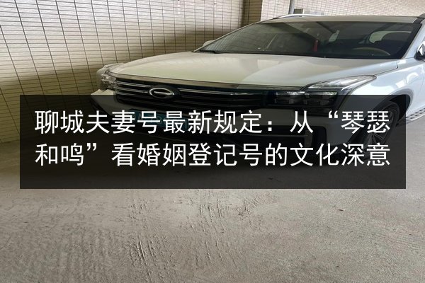 聊城夫妻号最新规定：从“琴瑟和鸣”看婚姻登记号的文化深意
