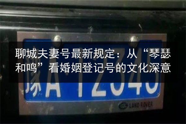 聊城夫妻号最新规定:从“琴瑟和鸣”看婚姻登记号的文化深意 第2张 聊城夫妻号最新规定:从“琴瑟和鸣”看婚姻登记号的文化深意 第2张