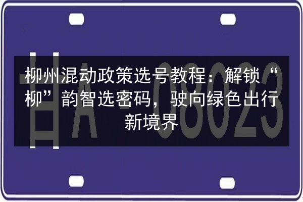 柳州混动政策选号教程：解锁“柳”韵智选密码，驶向绿色出行新境界