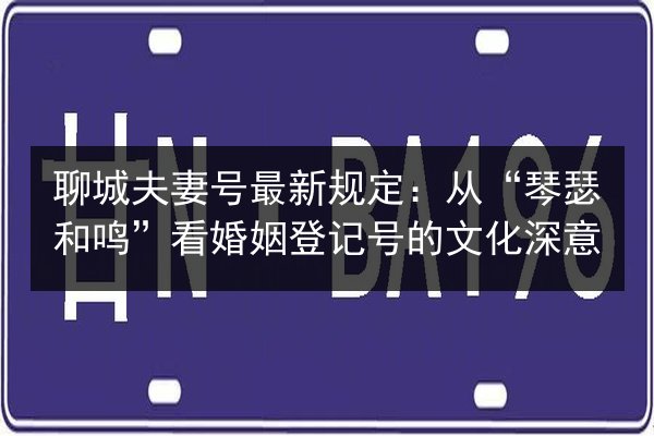 聊城夫妻号最新规定:从“琴瑟和鸣”看婚姻登记号的文化深意 第3张 聊城夫妻号最新规定:从“琴瑟和鸣”看婚姻登记号的文化深意 第3张