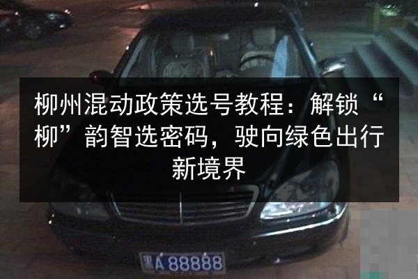 柳州混动政策选号教程：解锁“柳”韵智选密码，驶向绿色出行新境界 第2张