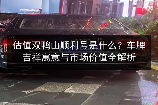 估值双鸭山顺利号是什么？车牌吉祥寓意与市场价值全解析 第2张