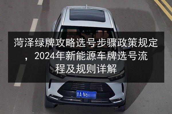 菏泽绿牌攻略选号步骤政策规定，2024年新能源车牌选号流程及规则详解 第2张