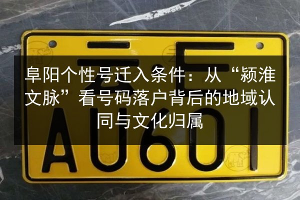 阜阳个性号迁入条件：从“颍淮文脉”看号码落户背后的地域认同与文化归属 第2张