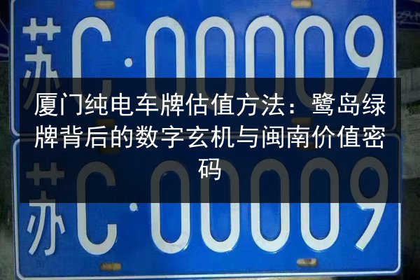 厦门纯电车牌估值方法：鹭岛绿牌背后的数字玄机与闽南价值密码 第2张