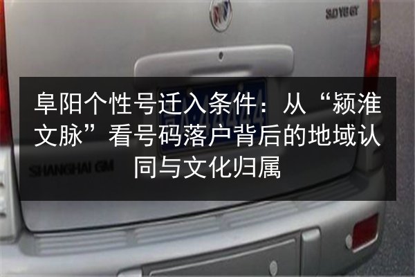 阜阳个性号迁入条件：从“颍淮文脉”看号码落户背后的地域认同与文化归属 第3张