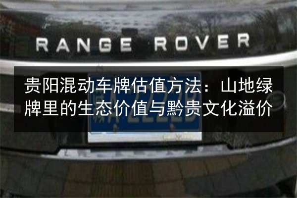 贵阳混动车牌估值方法：山地绿牌里的生态价值与黔贵文化溢价 第2张