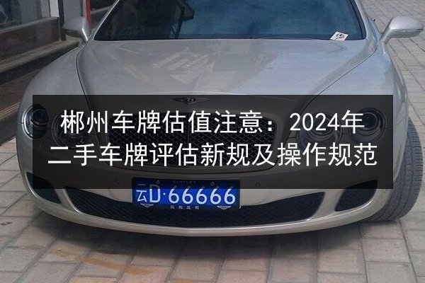 郴州车牌估值注意:2024年二手车牌评估新规及操作规范 第2张 郴州车牌估值注意:2024年二手车牌评估新规及操作规范 第2张