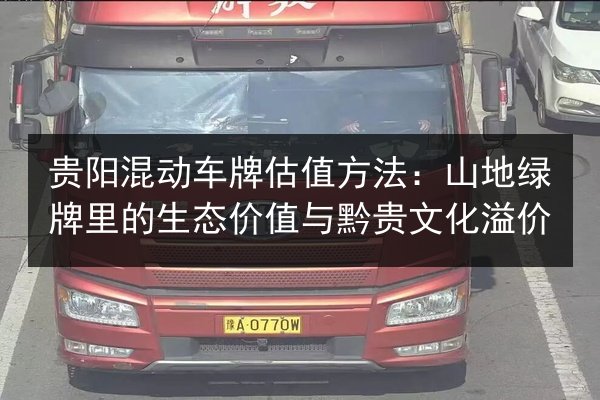 贵阳混动车牌估值方法：山地绿牌里的生态价值与黔贵文化溢价 第3张