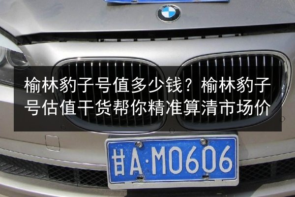 榆林豹子号值多少钱？榆林豹子号估值干货帮你精准算清市场价 第2张