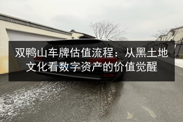 双鸭山车牌估值流程：从黑土地文化看数字资产的价值觉醒