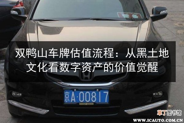 双鸭山车牌估值流程:从黑土地文化看数字资产的价值觉醒 第2张 双鸭山车牌估值流程:从黑土地文化看数字资产的价值觉醒 第2张