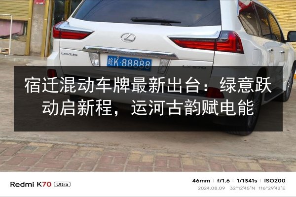 宿迁混动车牌最新出台：绿意跃动启新程，运河古韵赋电能 第2张