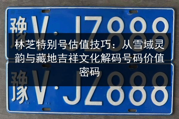 林芝特别号估值技巧:从雪域灵韵与藏地吉祥文化解码号码价值密码 第3张 林芝特别号估值技巧:从雪域灵韵与藏地吉祥文化解码号码价值密码 第3张