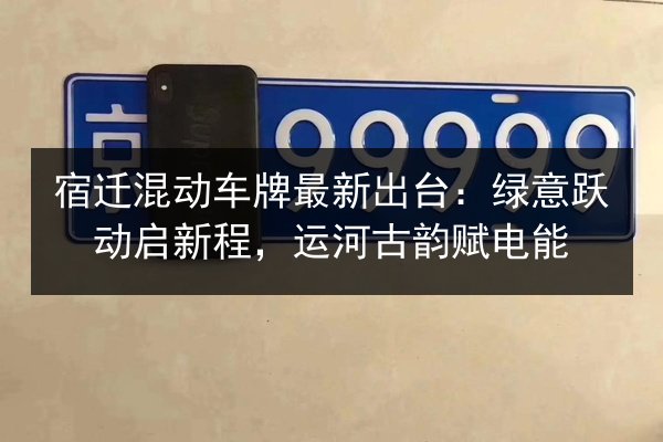 宿迁混动车牌最新出台：绿意跃动启新程，运河古韵赋电能 第3张