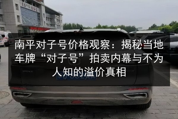 南平对子号价格观察：揭秘当地车牌“对子号”拍卖内幕与不为人知的溢价真相