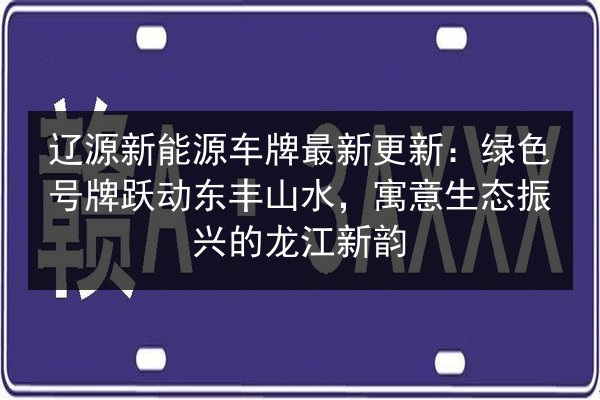 辽源新能源车牌最新更新：绿色号牌跃动东丰山水，寓意生态振兴的龙江新韵