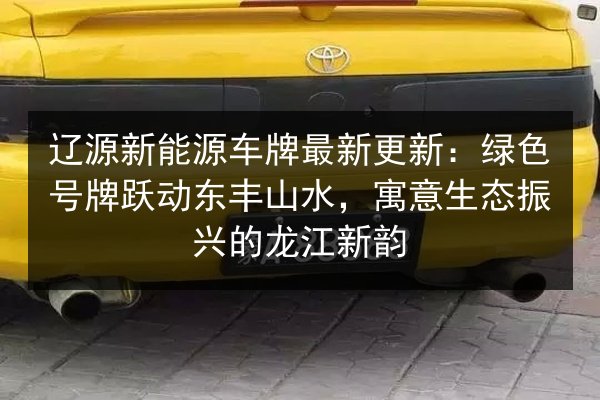 辽源新能源车牌最新更新:绿色号牌跃动东丰山水,寓意生态振兴的龙江新韵 第3张 辽源新能源车牌最新更新:绿色号牌跃动东丰山水,寓意生态振兴的龙江新韵 第3张