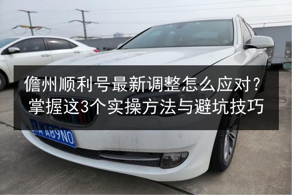 儋州顺利号最新调整怎么应对?掌握这3个实操方法与避坑技巧 第2张 儋州顺利号最新调整怎么应对?掌握这3个实操方法与避坑技巧 第2张