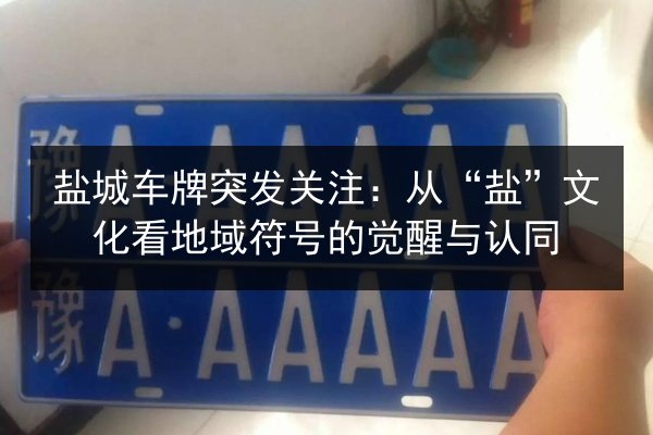 盐城车牌突发关注:从“盐”文化看地域符号的觉醒与认同 第2张 盐城车牌突发关注:从“盐”文化看地域符号的觉醒与认同 第2张