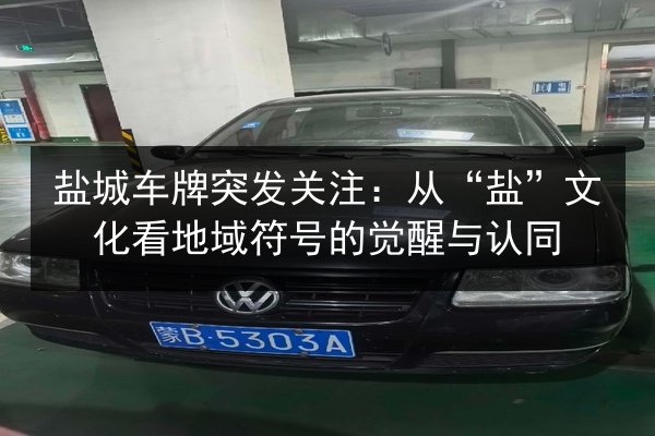 盐城车牌突发关注:从“盐”文化看地域符号的觉醒与认同 第3张 盐城车牌突发关注:从“盐”文化看地域符号的觉醒与认同 第3张