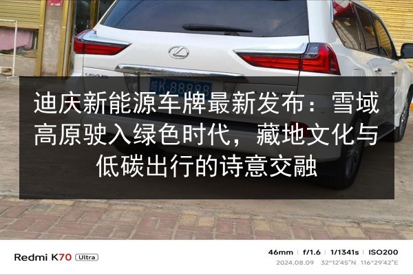 迪庆新能源车牌最新发布：雪域高原驶入绿色时代，藏地文化与低碳出行的诗意交融 第3张
